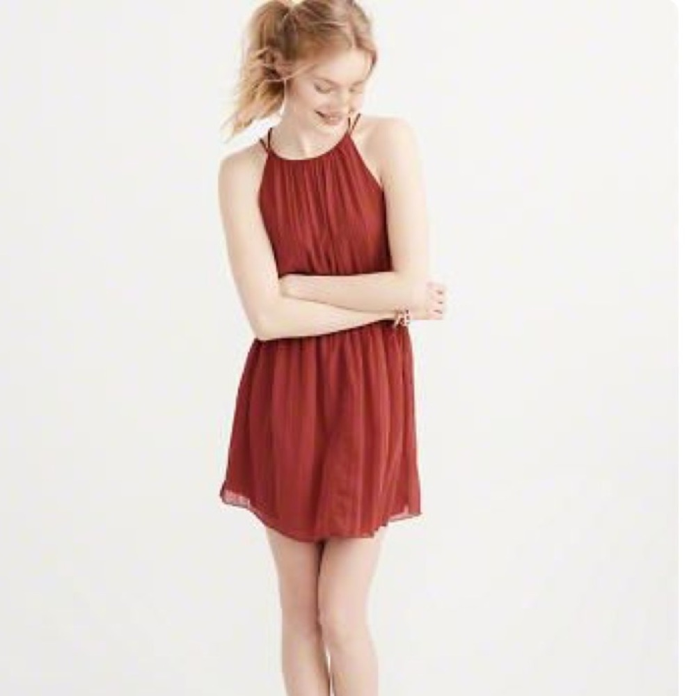 Abercrombie Chiffon Skater Dress